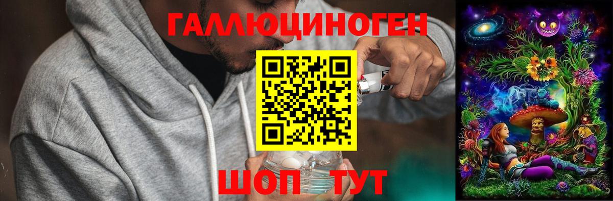 Псилоцибиновые грибы Cubensis  Галлюциногенные грибы Cubensis  Орёл  Вход с VPN 